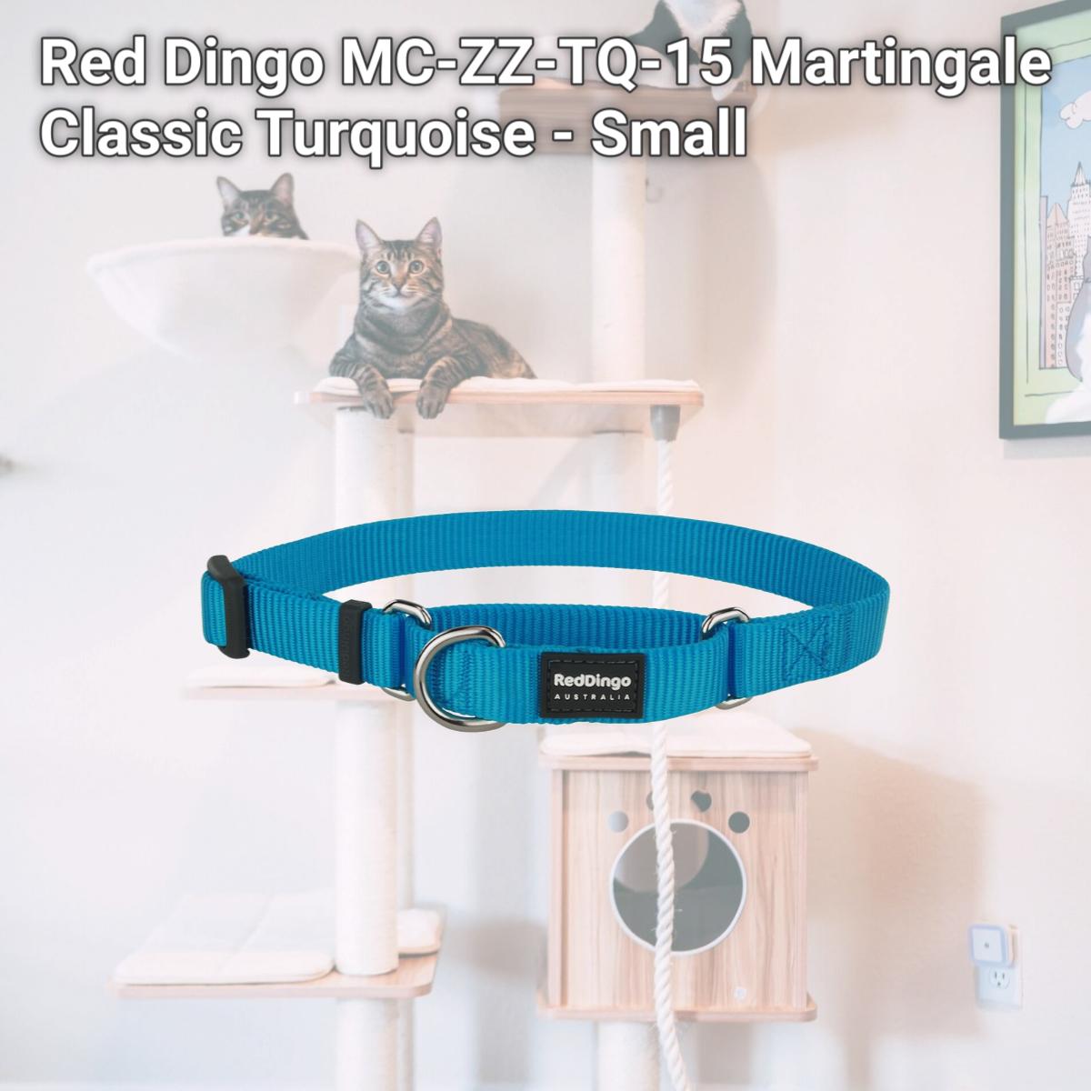 Picture of Red Dingo MC-ZZ-TQ-15 Martingale Classic Turquoise - Small