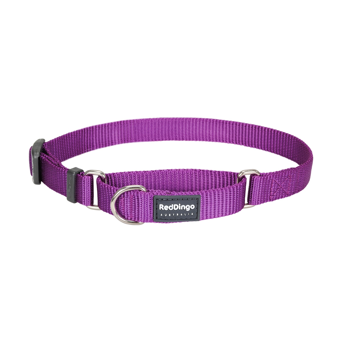 Picture of Red Dingo MC-ZZ-PU-15 Martingale Classic Purple - Small