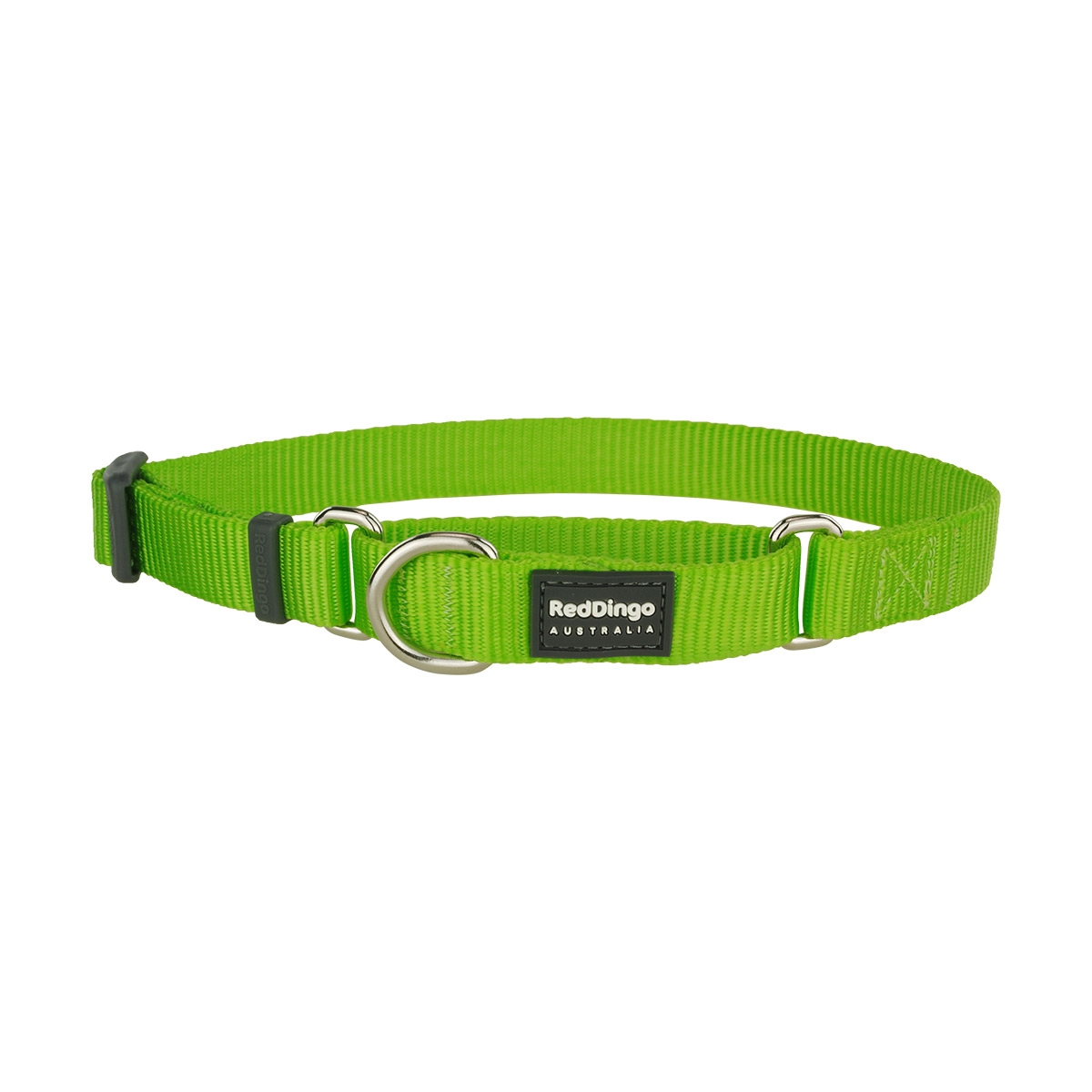 Picture of Red Dingo MC-ZZ-LG-20 Martingale Classic Lime Green - Medium