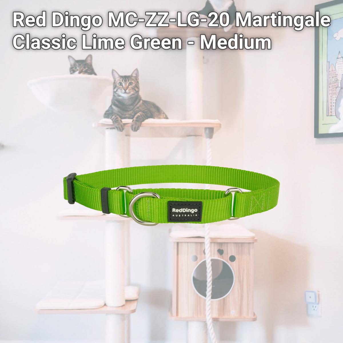Picture of Red Dingo MC-ZZ-LG-20 Martingale Classic Lime Green - Medium