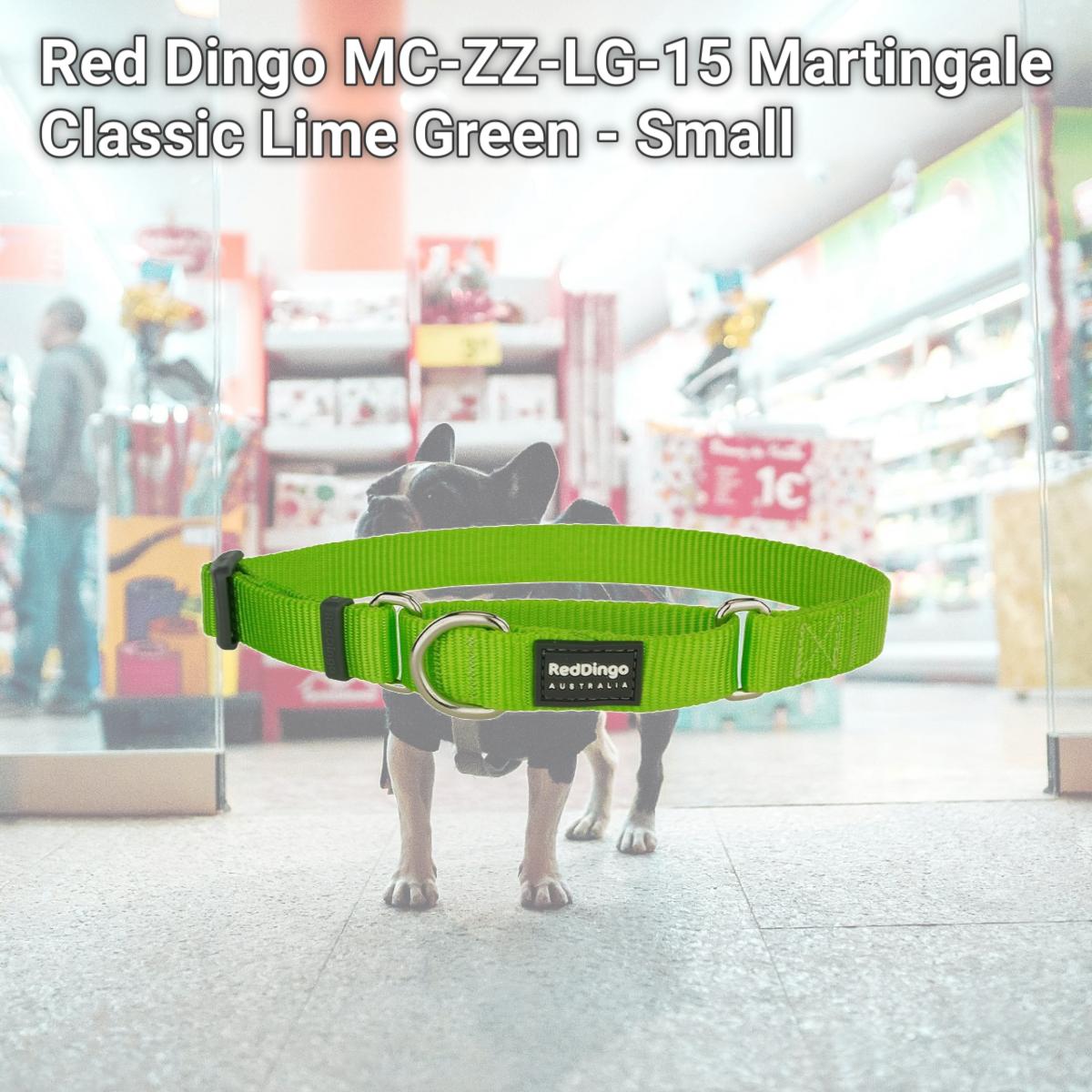 Picture of Red Dingo MC-ZZ-LG-15 Martingale Classic Lime Green - Small