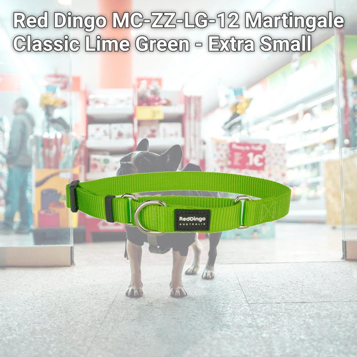 Picture of Red Dingo MC-ZZ-LG-12 Martingale Classic Lime Green - Extra Small