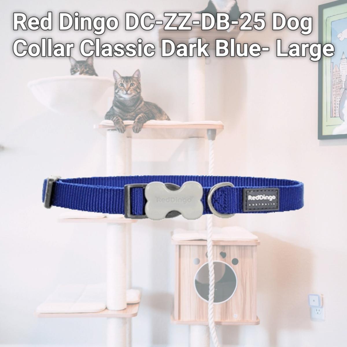 Picture of Red Dingo DC-ZZ-DB-25 Dog Collar Classic Dark Blue- Large