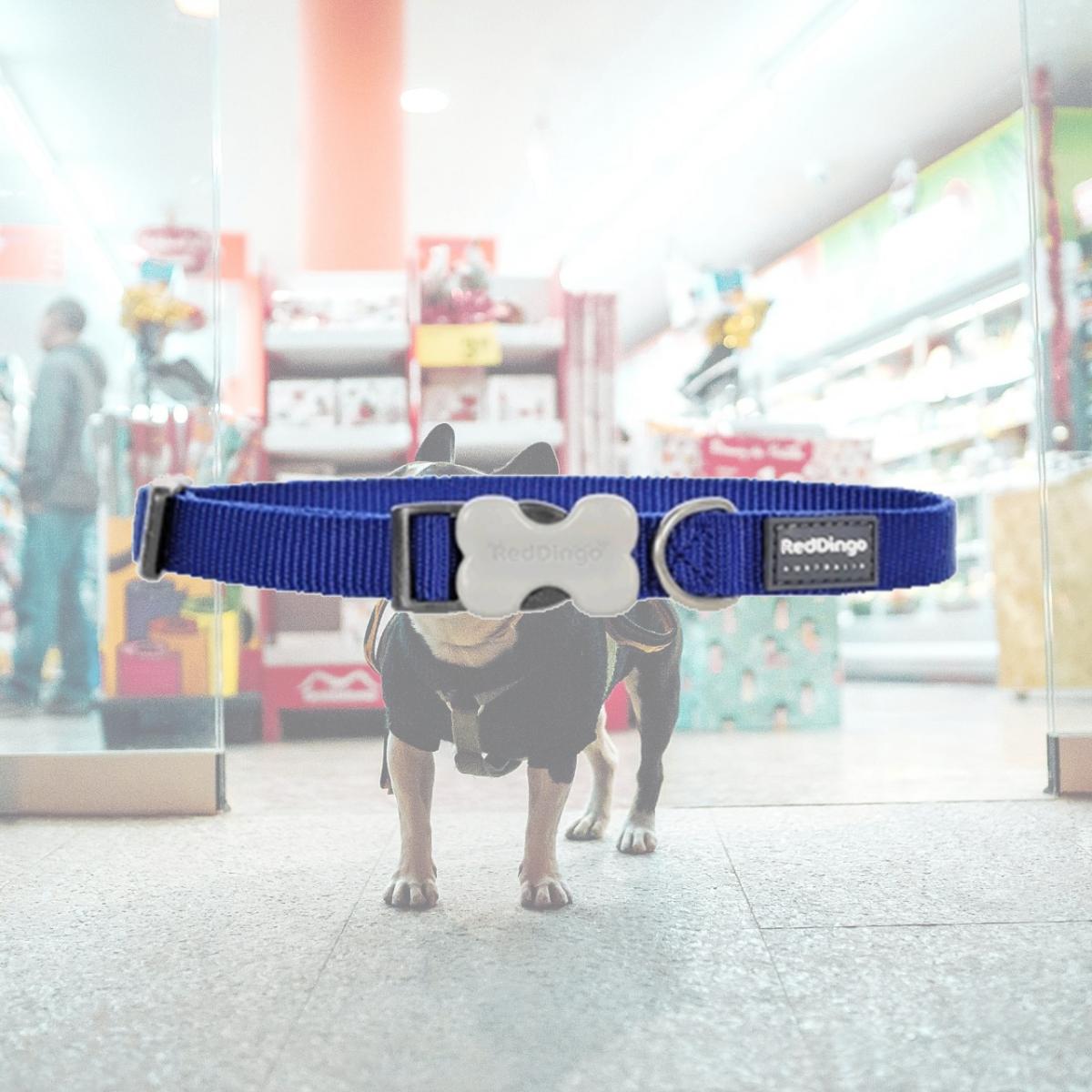 Picture of Red Dingo DC-ZZ-DB-25 Dog Collar Classic Dark Blue- Large