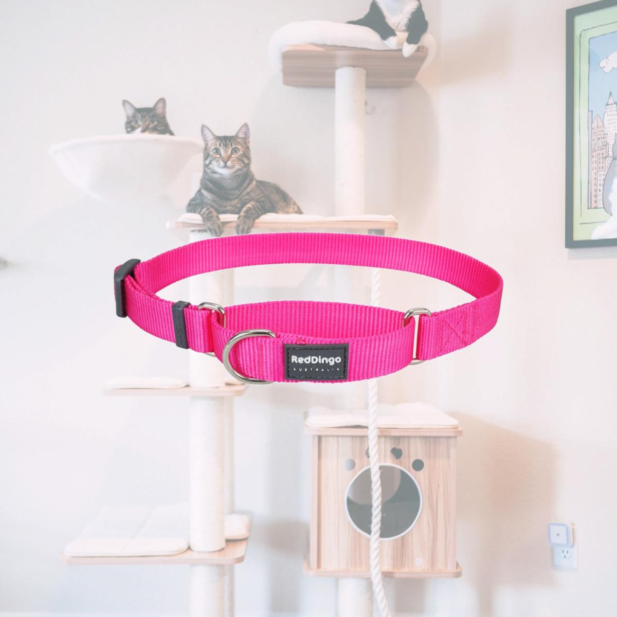 Picture of Red Dingo MC-ZZ-HP-12 Martingale Classic Hot Pink - Extra Small