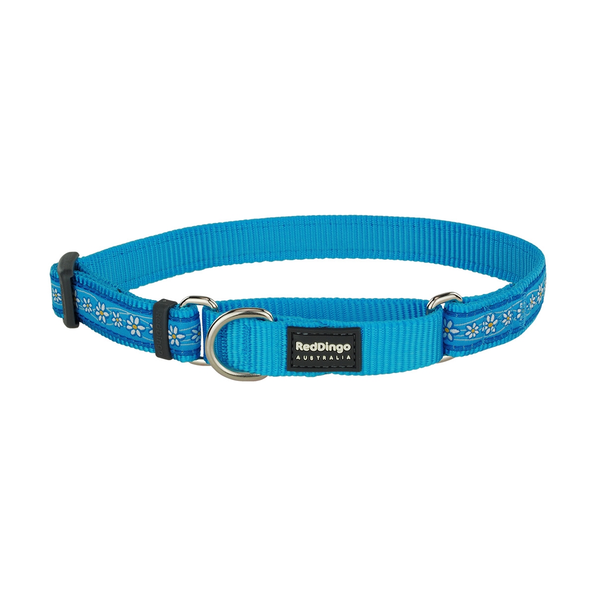 Picture of Red Dingo MC-DC-TQ-25 Martingale Design Daisy Chain Turquoise - Large