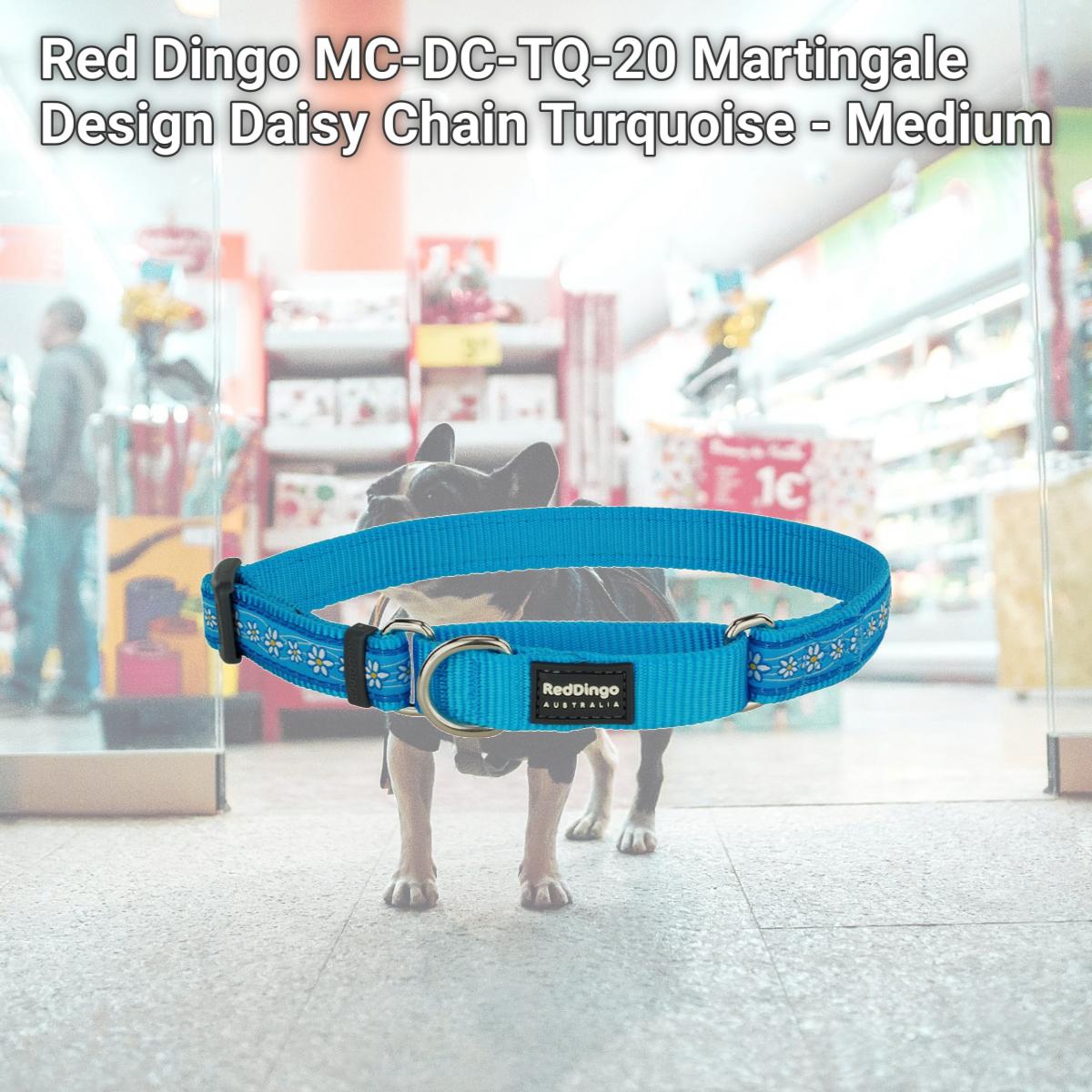 Picture of Red Dingo MC-DC-TQ-20 Martingale Design Daisy Chain Turquoise - Medium