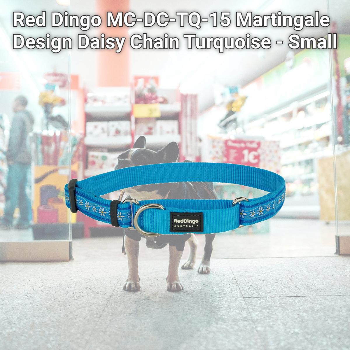 Picture of Red Dingo MC-DC-TQ-15 Martingale Design Daisy Chain Turquoise - Small