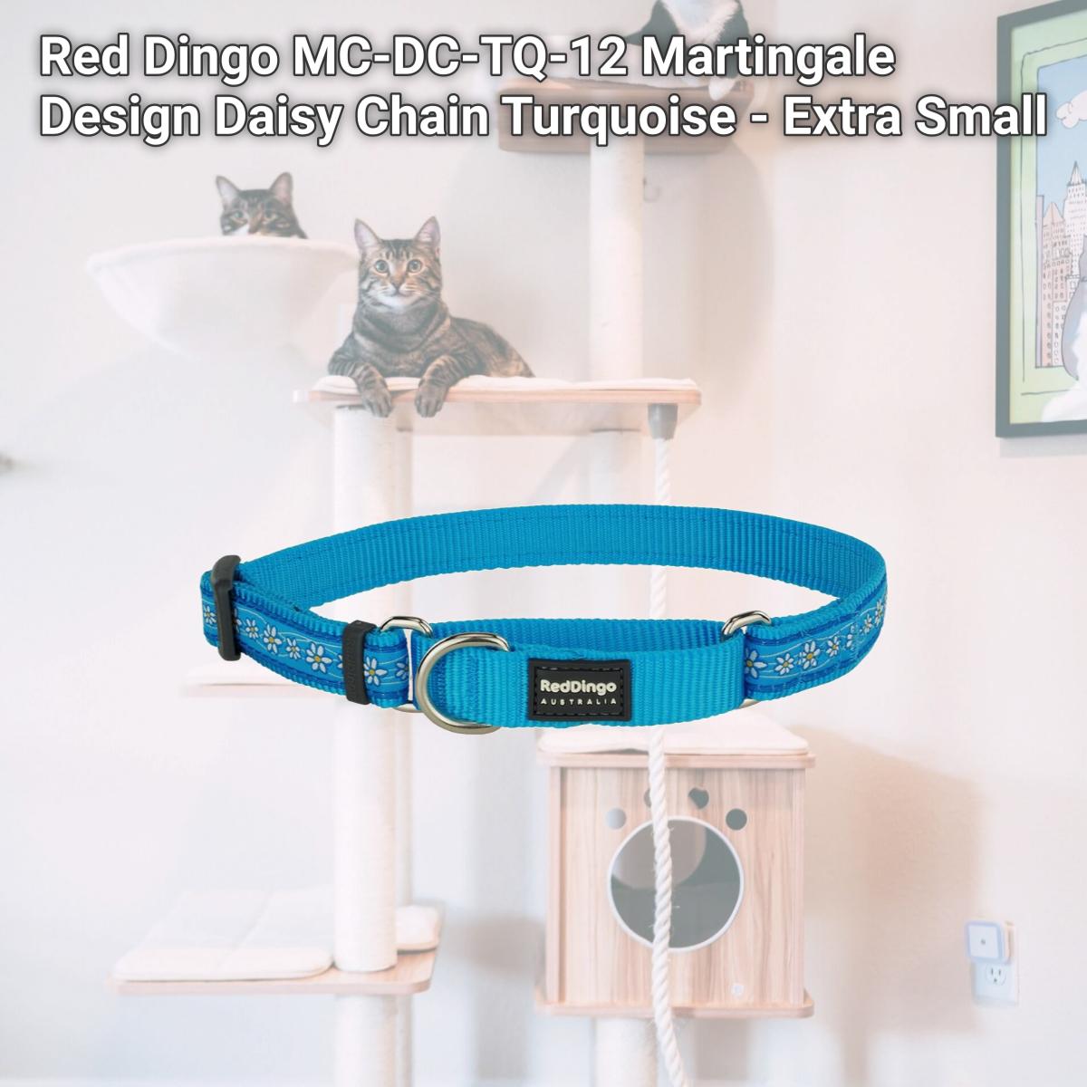 Picture of Red Dingo MC-DC-TQ-12 Martingale Design Daisy Chain Turquoise - Extra Small