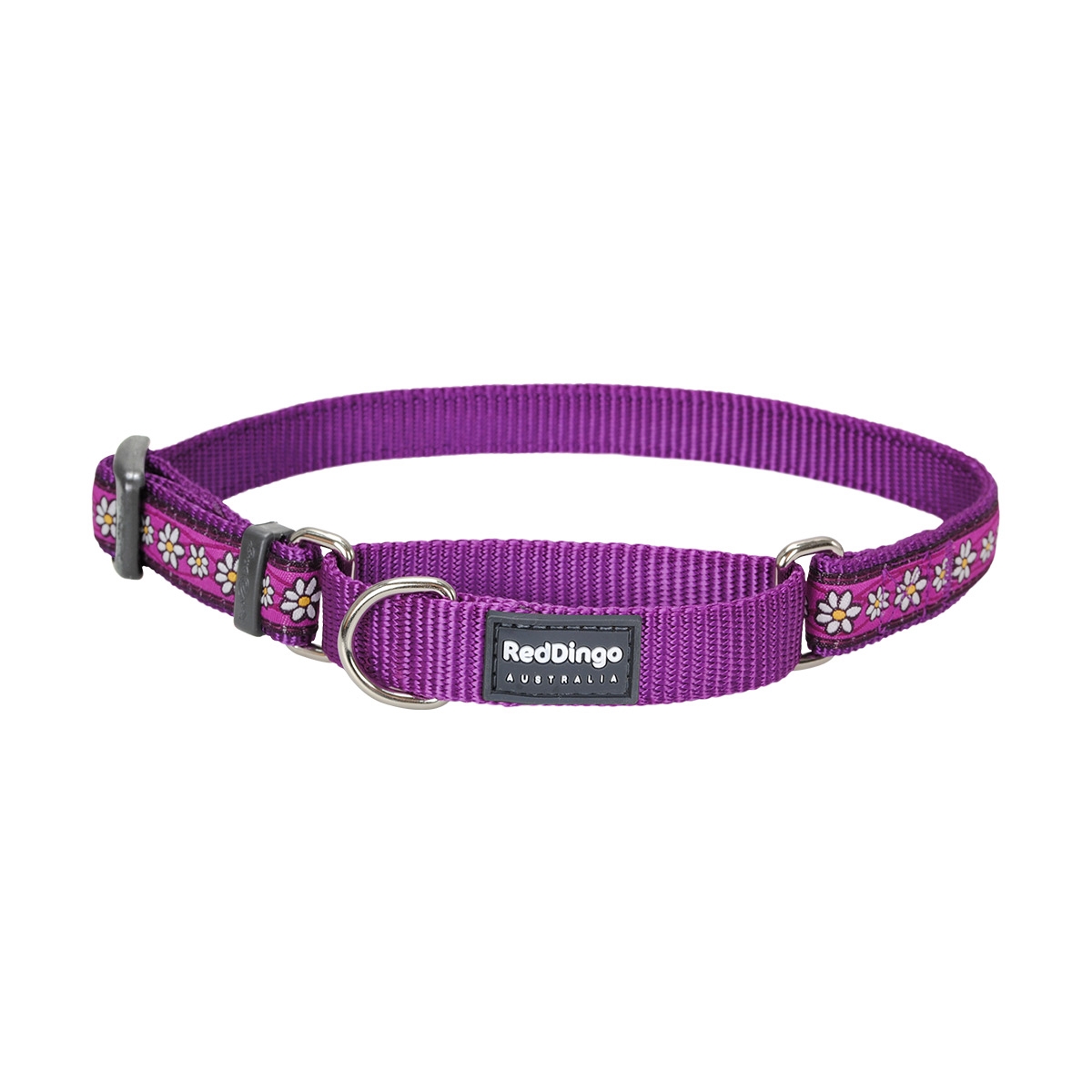 Picture of Red Dingo MC-DC-PU-15 Martingale Design Daisy Chain Purple - Small