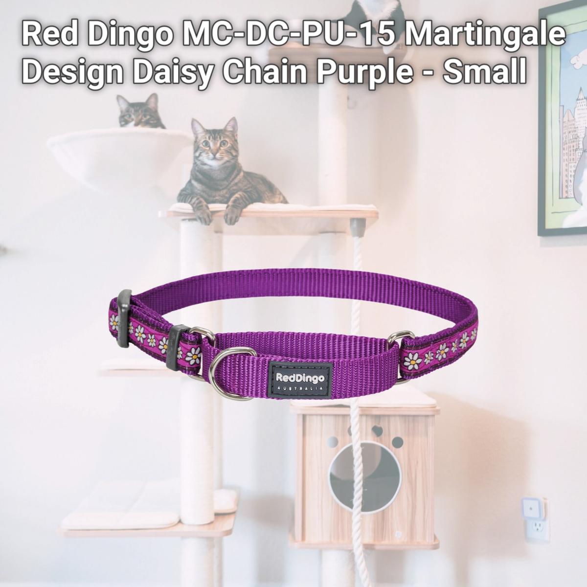 Picture of Red Dingo MC-DC-PU-15 Martingale Design Daisy Chain Purple - Small