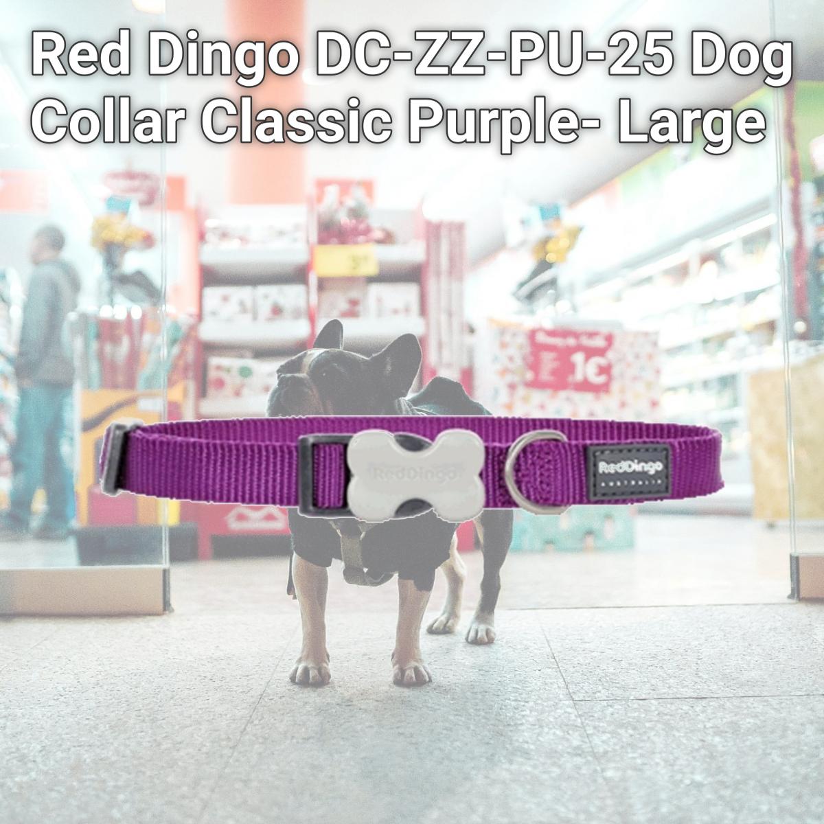 Picture of Red Dingo DC-ZZ-PU-25 Dog Collar Classic Purple- Large
