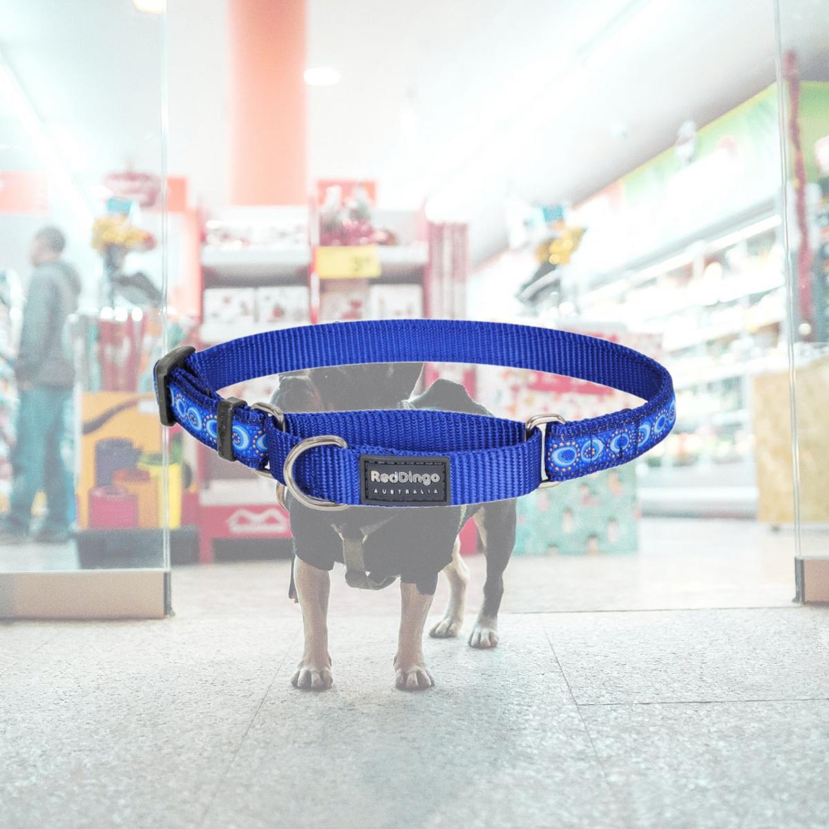 Picture of Red Dingo MC-CO-DB-15 Martingale Design Cosmos Dark Blue - Small