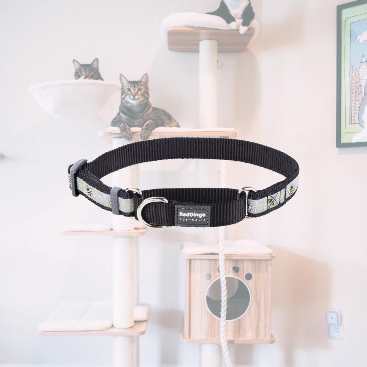 Picture of Red Dingo MC-BM-BB-15 Martingale Design Bumble Bee Black - Small