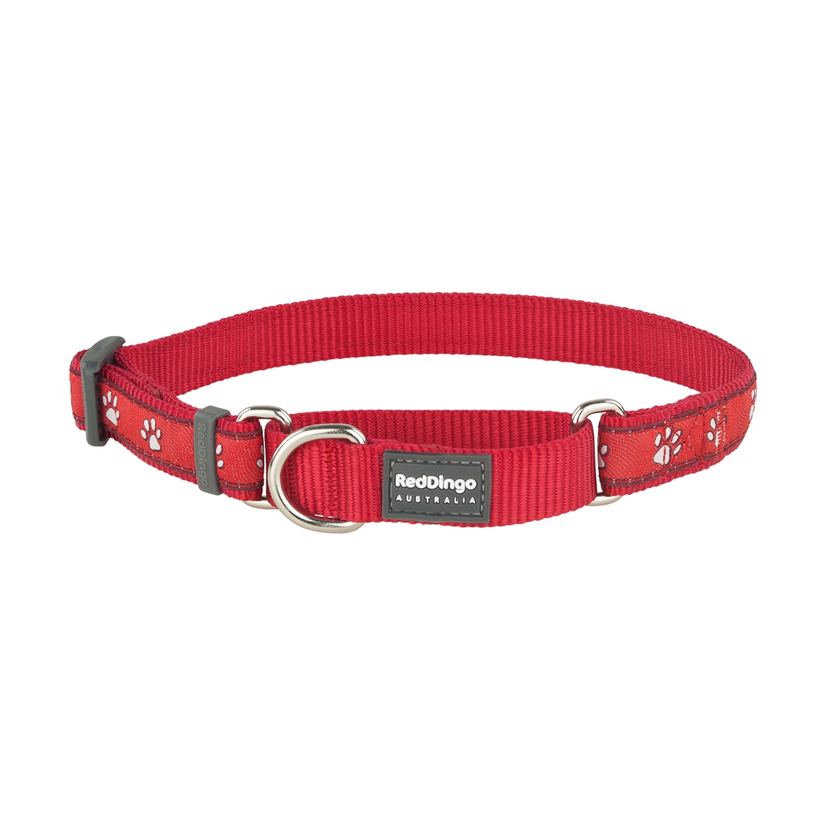Picture of Red Dingo MC-DP-RE-12 Martingale Design Desert Paws Red - Extra Small