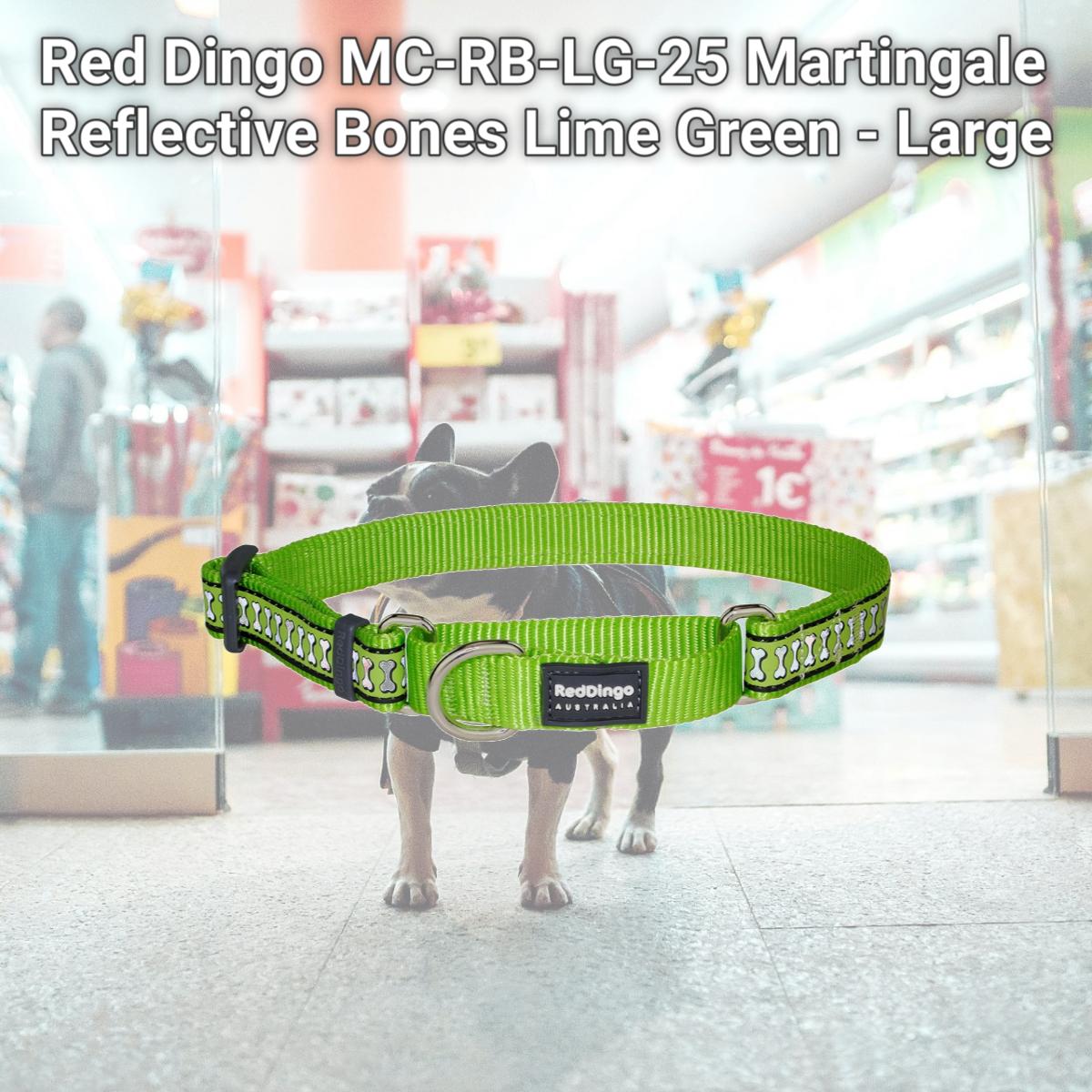 Picture of Red Dingo MC-RB-LG-25 Martingale Reflective Bones Lime Green - Large