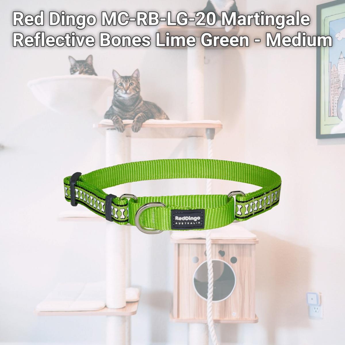 Picture of Red Dingo MC-RB-LG-20 Martingale Reflective Bones Lime Green - Medium