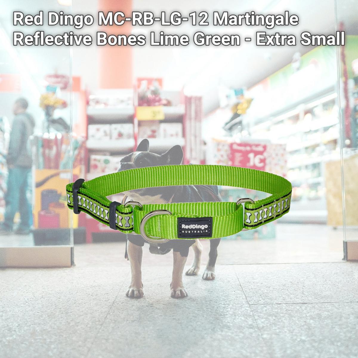 Picture of Red Dingo MC-RB-LG-12 Martingale Reflective Bones Lime Green - Extra Small
