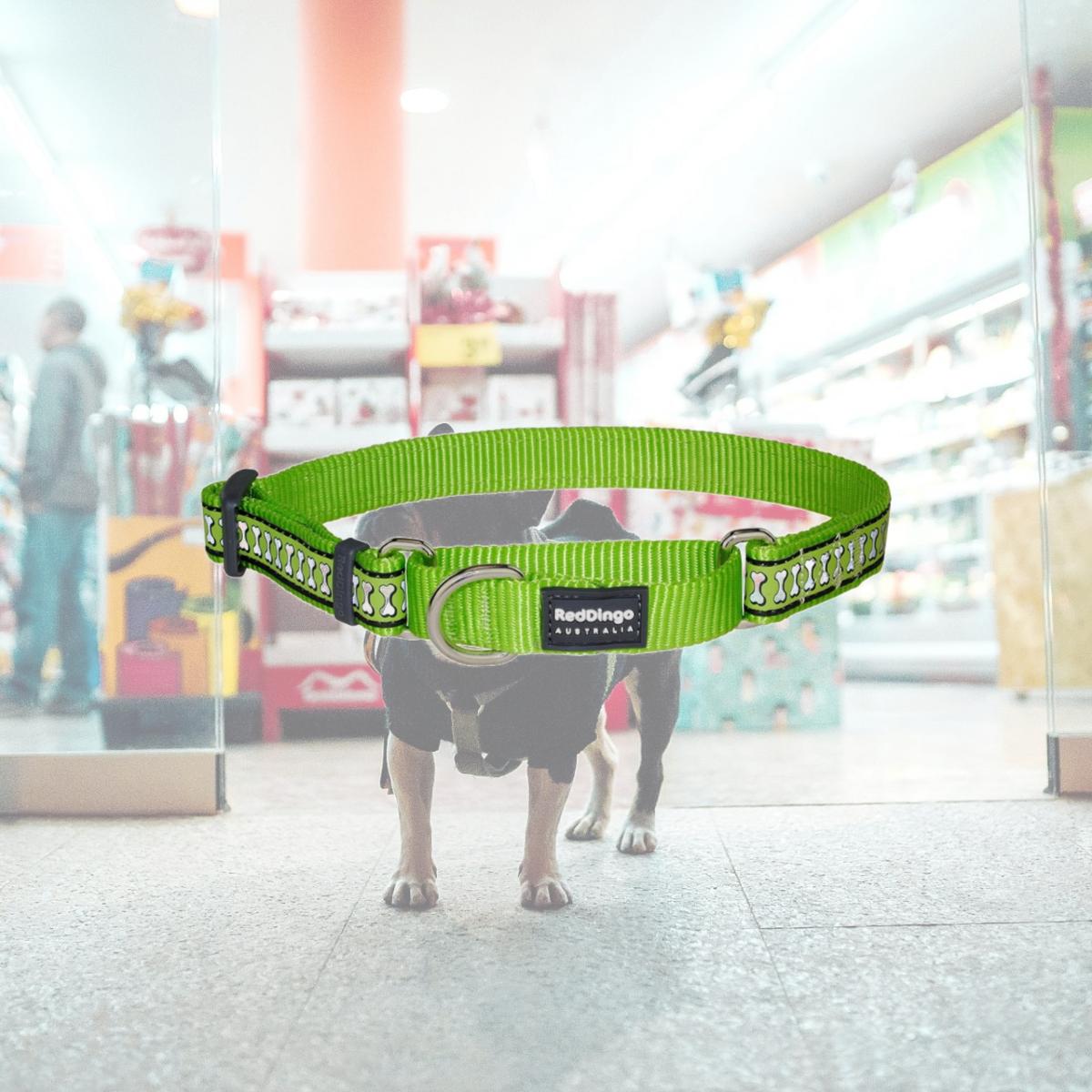 Picture of Red Dingo MC-RB-LG-12 Martingale Reflective Bones Lime Green - Extra Small
