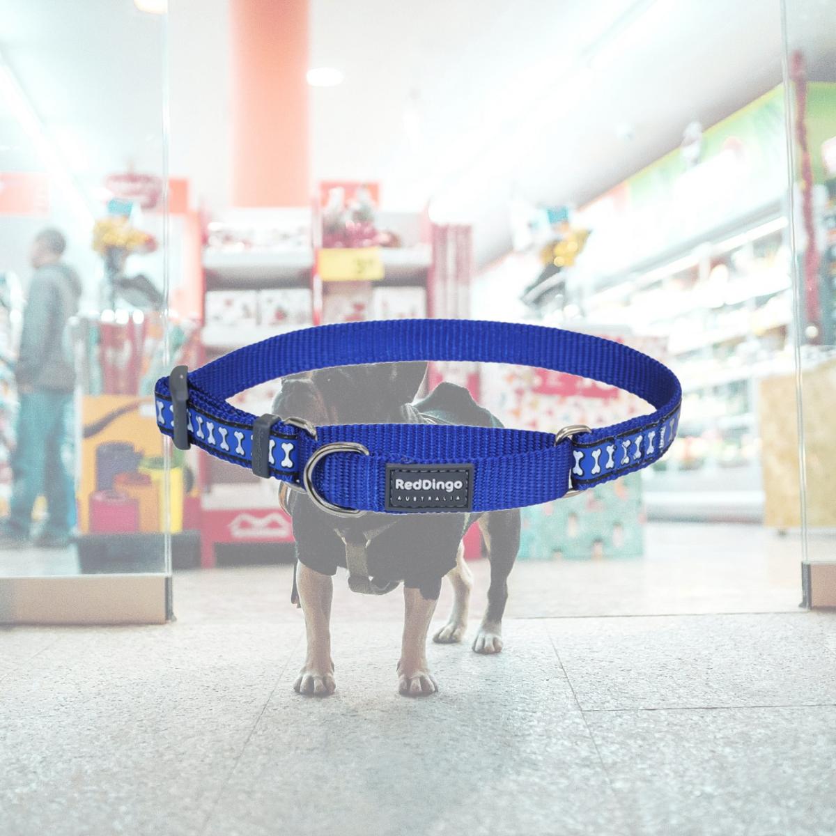 Picture of Red Dingo MC-RB-DB-15 Martingale Reflective Bones Dark Blue - Small