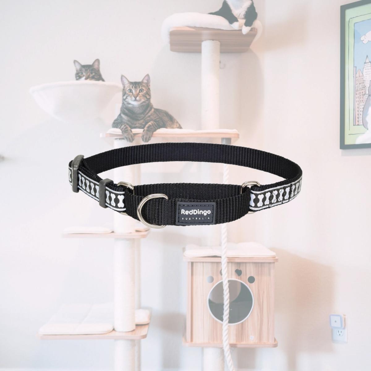 Picture of Red Dingo MC-RB-BB-15 Martingale Reflective Bones Black - Small