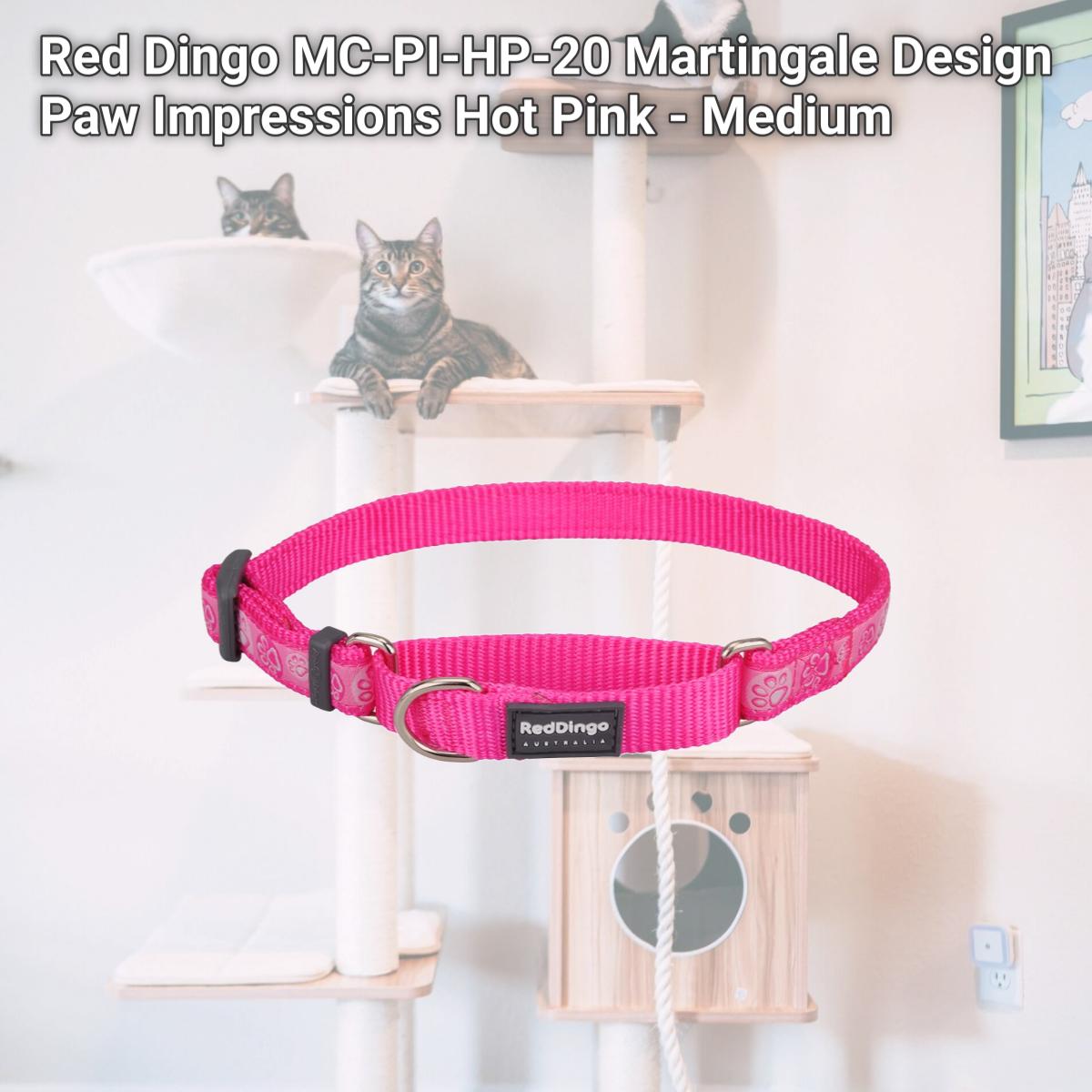 Picture of Red Dingo MC-PI-HP-20 Martingale Design Paw Impressions Hot Pink - Medium