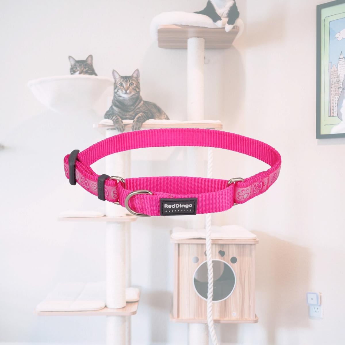 Picture of Red Dingo MC-PI-HP-20 Martingale Design Paw Impressions Hot Pink - Medium