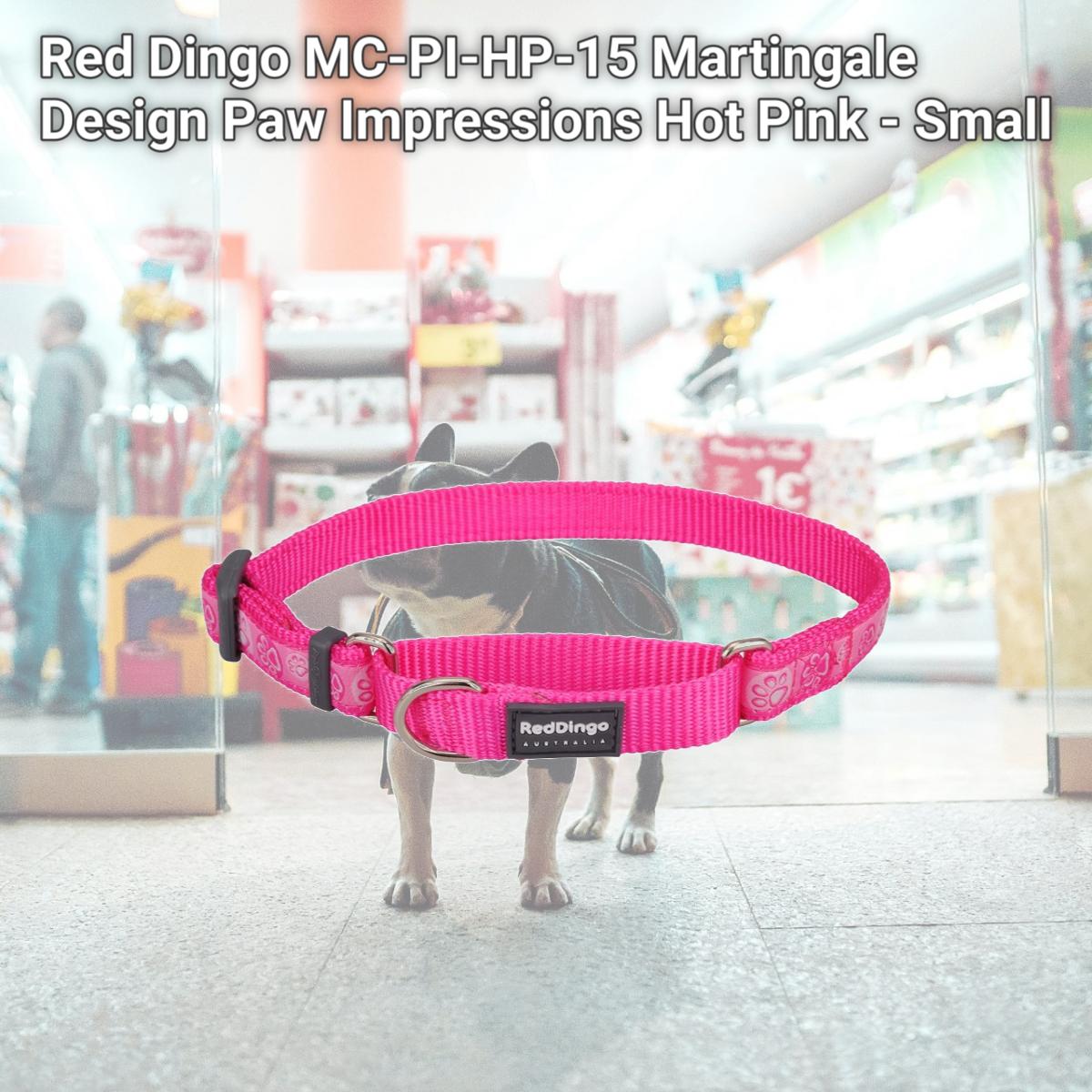 Picture of Red Dingo MC-PI-HP-15 Martingale Design Paw Impressions Hot Pink - Small