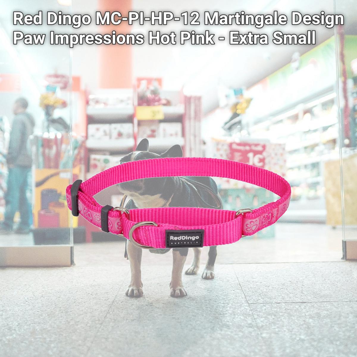 Picture of Red Dingo MC-PI-HP-12 Martingale Design Paw Impressions Hot Pink - Extra Small