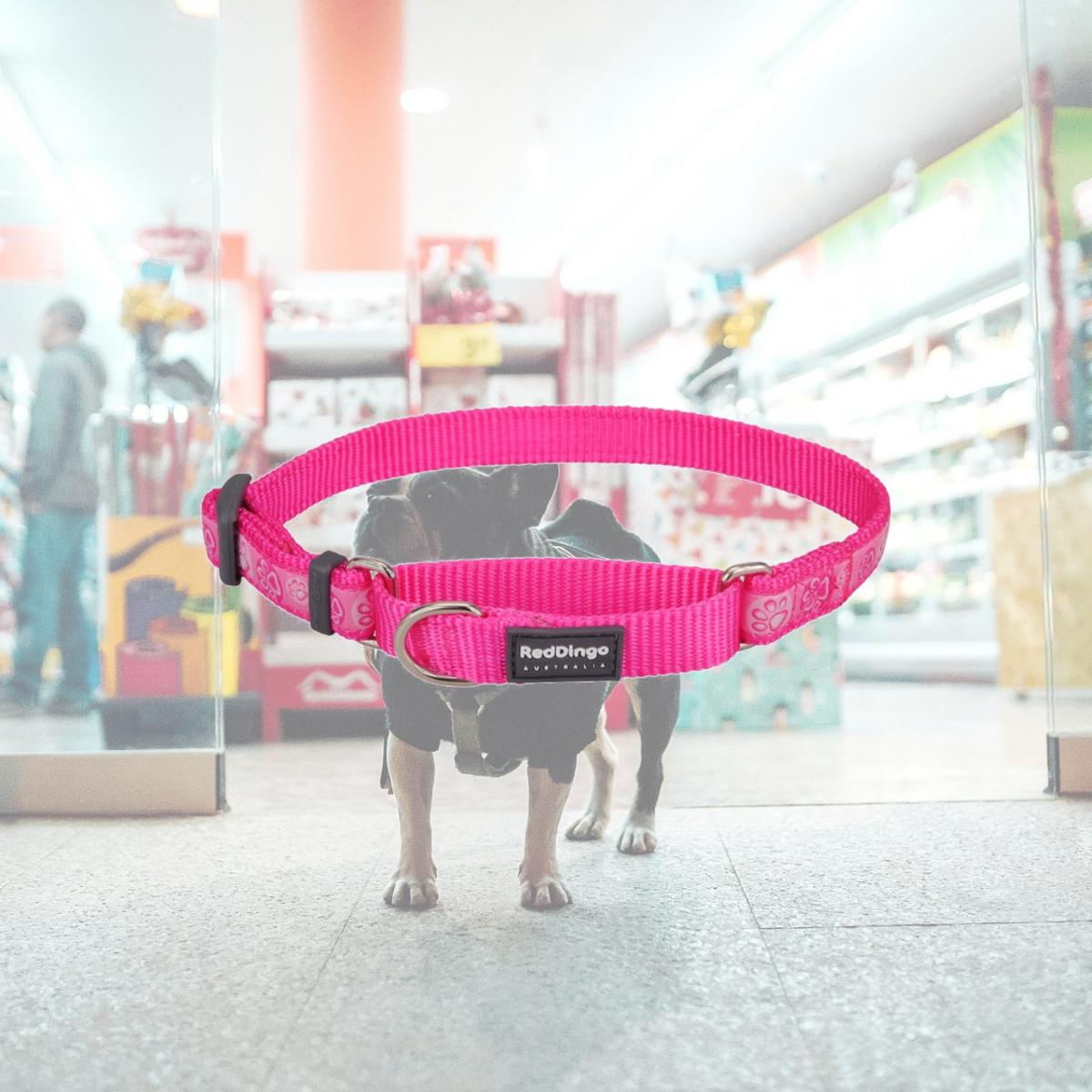 Picture of Red Dingo MC-PI-HP-12 Martingale Design Paw Impressions Hot Pink - Extra Small