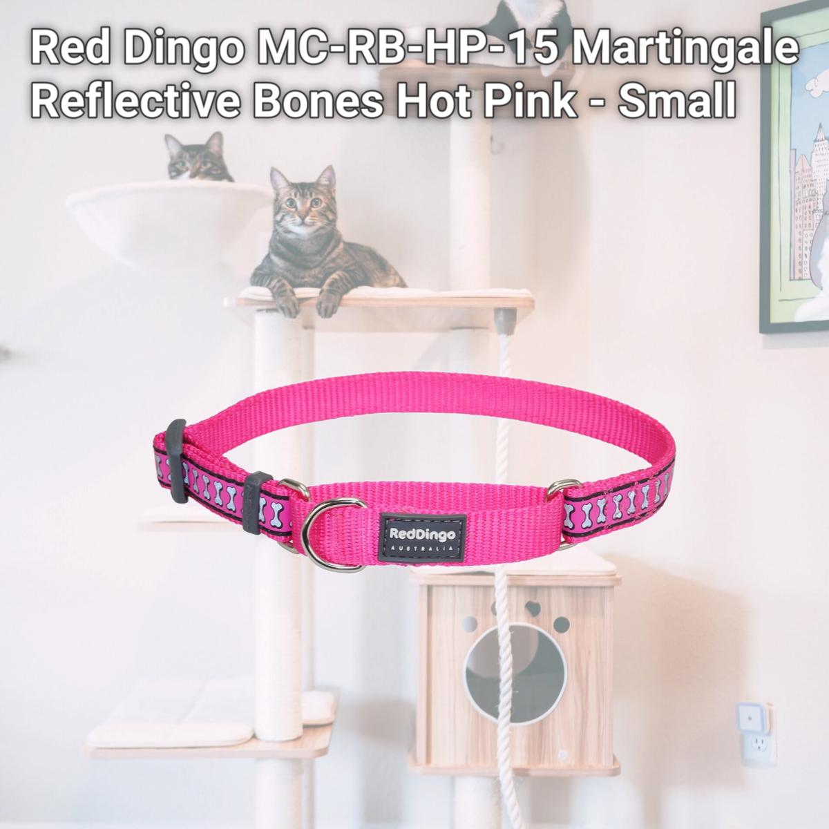 Picture of Red Dingo MC-RB-HP-15 Martingale Reflective Bones Hot Pink - Small