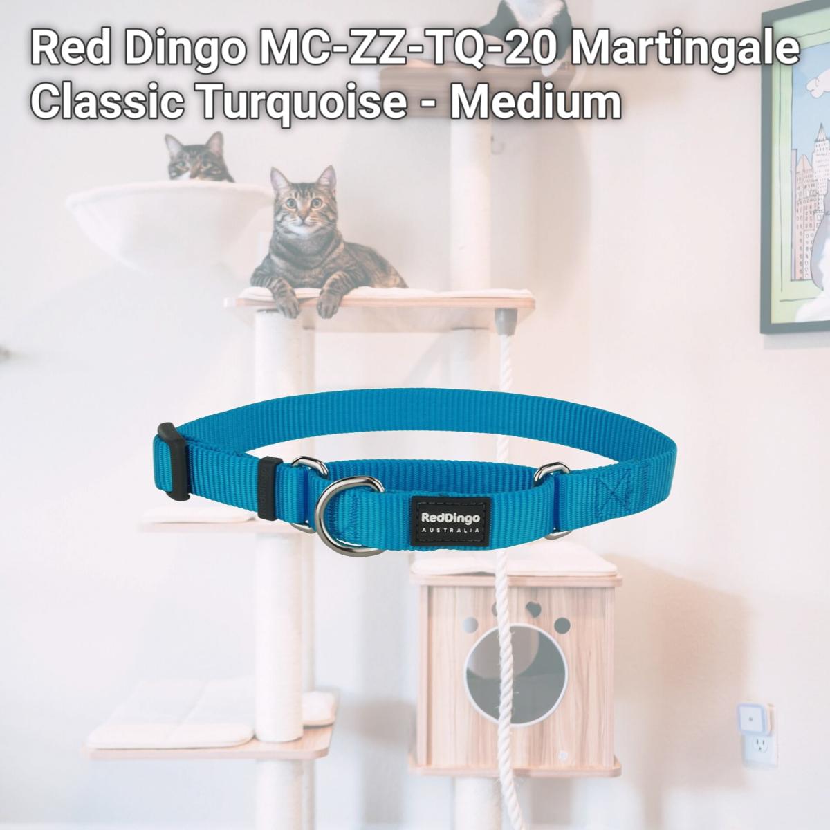 Picture of Red Dingo MC-ZZ-TQ-20 Martingale Classic Turquoise - Medium