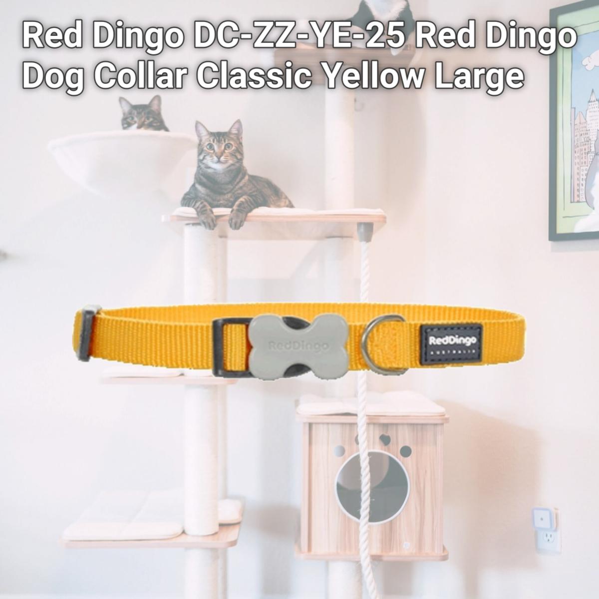 Picture of Red Dingo DC-ZZ-YE-25 Red Dingo Dog Collar Classic Yellow Large