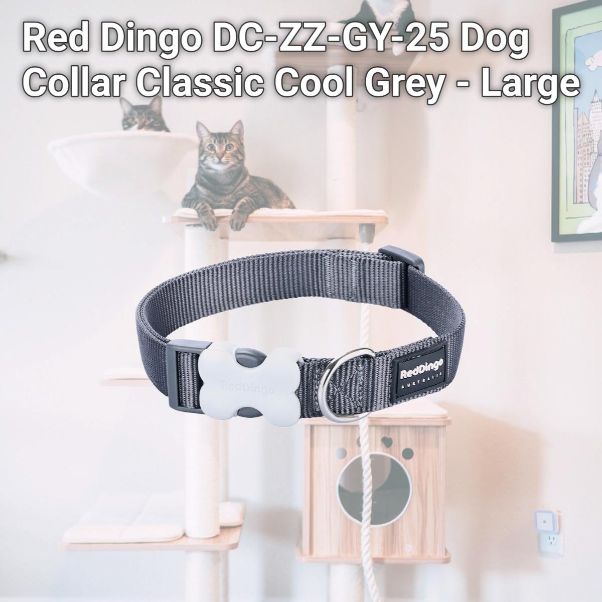 Picture of Red Dingo DC-ZZ-GY-25 Dog Collar Classic Cool Grey - Large