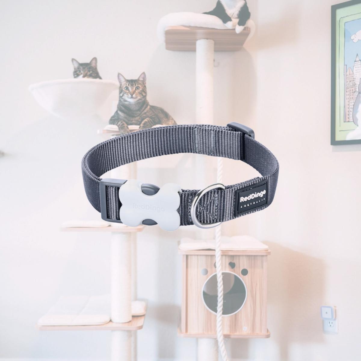 Picture of Red Dingo DC-ZZ-GY-25 Dog Collar Classic Cool Grey - Large