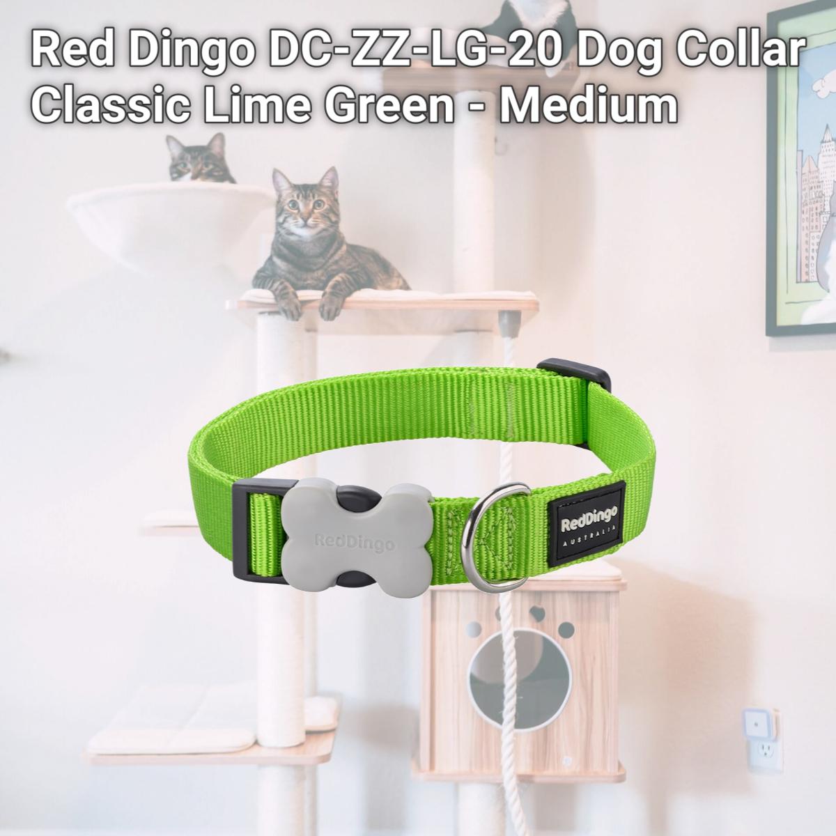 Picture of Red Dingo DC-ZZ-LG-20 Dog Collar Classic Lime Green - Medium