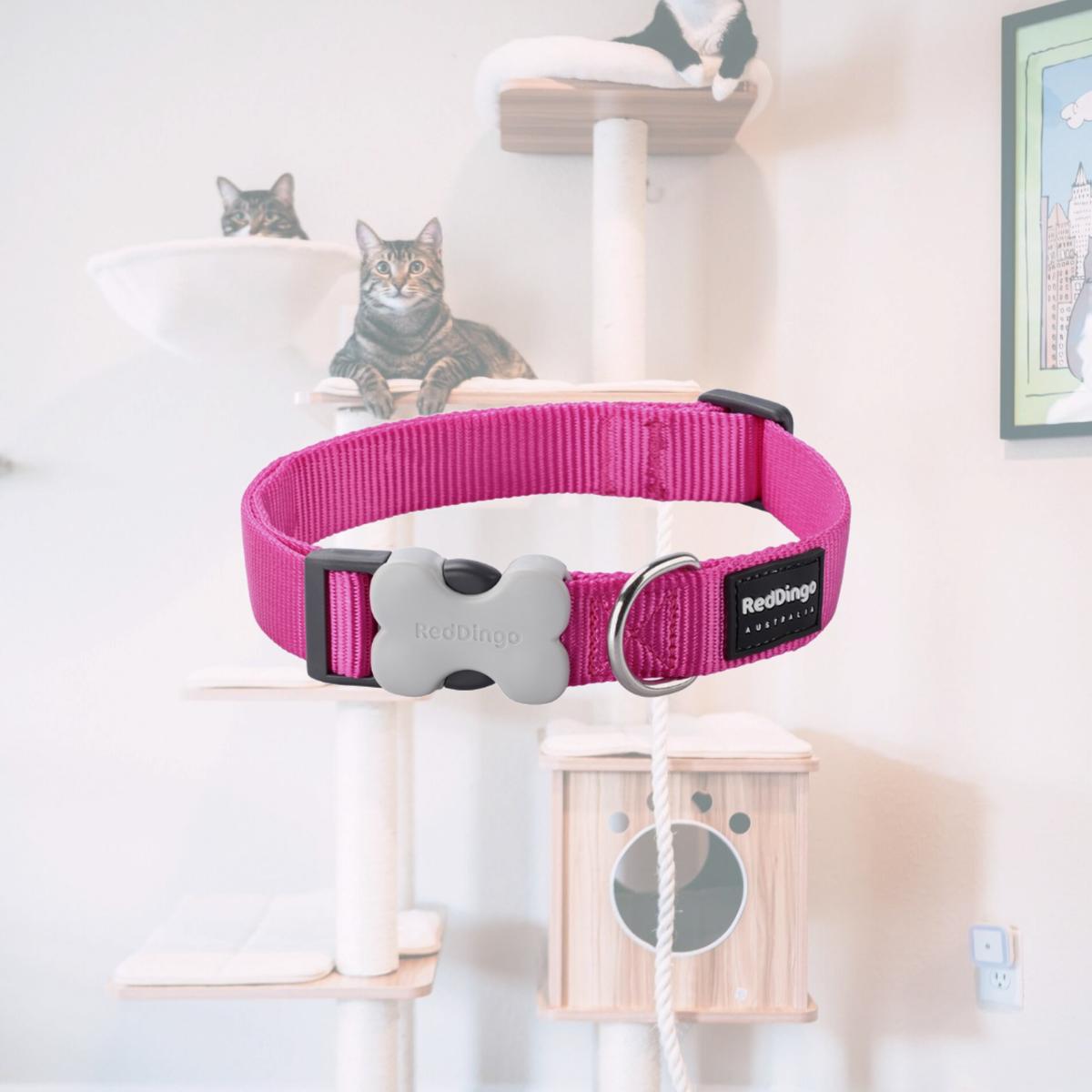 Picture of Red Dingo DC-ZZ-HP-15 Dog Collar Classic Hot Pink - Small