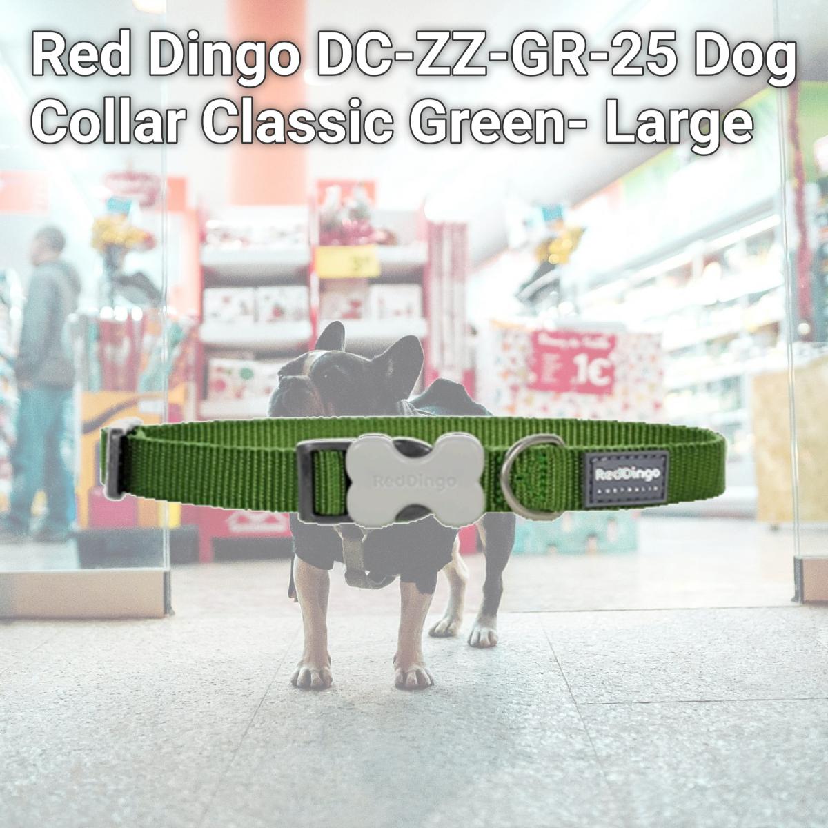 Picture of Red Dingo DC-ZZ-GR-25 Dog Collar Classic Green- Large