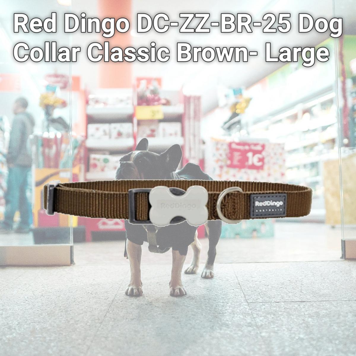 Picture of Red Dingo DC-ZZ-BR-25 Dog Collar Classic Brown- Large