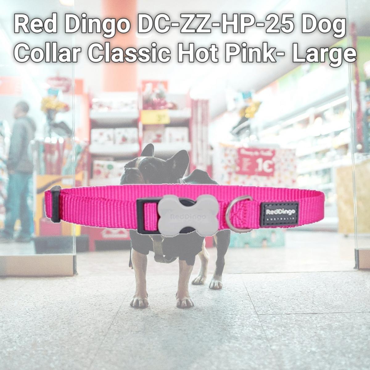 Picture of Red Dingo DC-ZZ-HP-25 Dog Collar Classic Hot Pink- Large