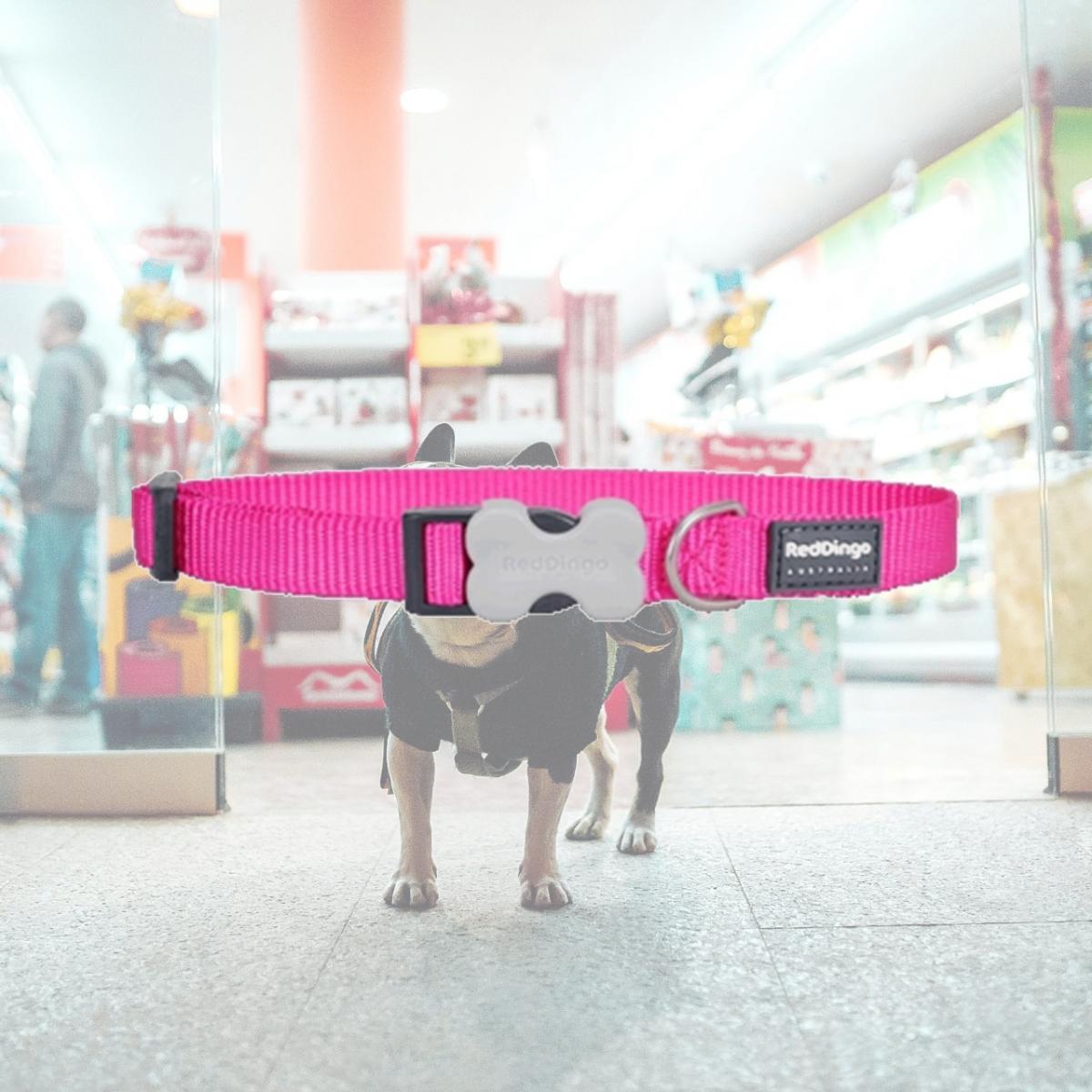 Picture of Red Dingo DC-ZZ-HP-25 Dog Collar Classic Hot Pink- Large