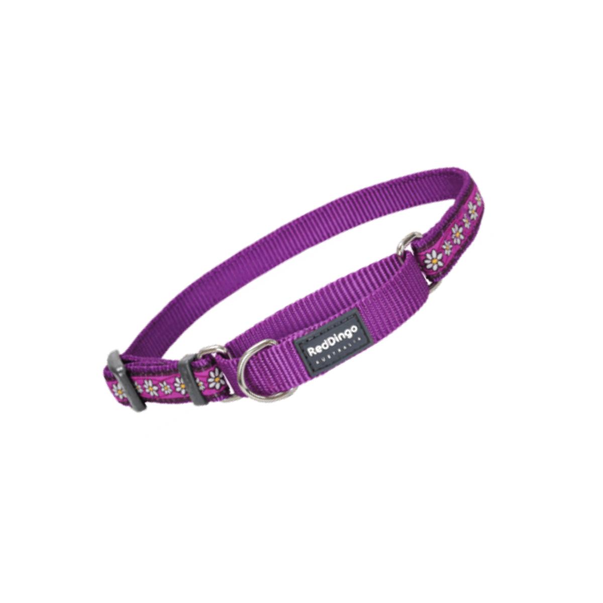 Picture of Red Dingo MC-DC-PU-12 Martingale Dog Collar Design Daisy Chain Purple- Extra Small