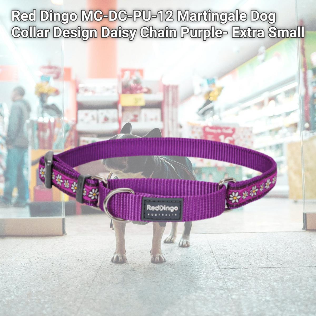 Picture of Red Dingo MC-DC-PU-12 Martingale Dog Collar Design Daisy Chain Purple- Extra Small