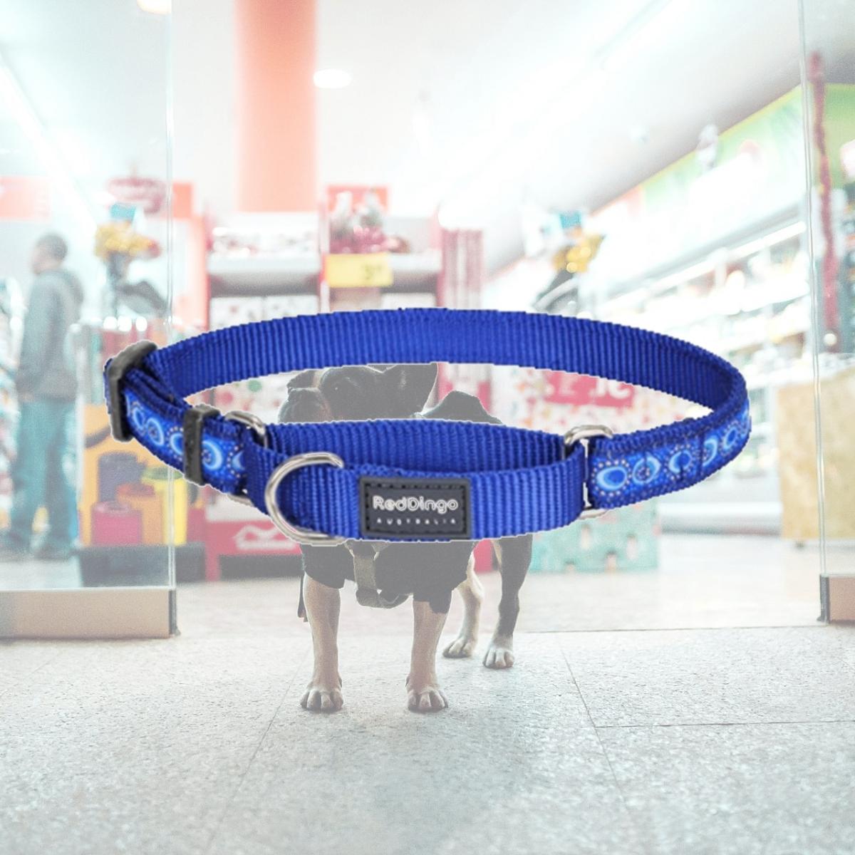 Picture of Red Dingo MC-CO-DB-12 Martingale Dog Collar Design Cosmos Dark Blue- Extra Small