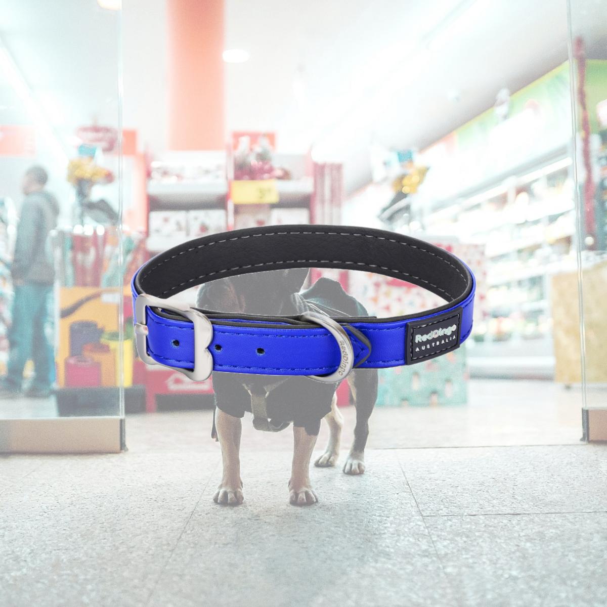Picture of Red Dingo DC-EL-DB-58 Dog Collar Elegant Vegan Leather Blue - Large