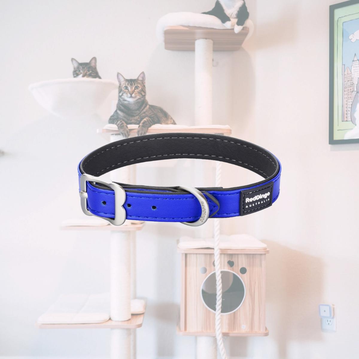 Picture of Red Dingo DC-EL-DB-36 Dog Collar Elegant Vegan Leather Blue - Small/Medium