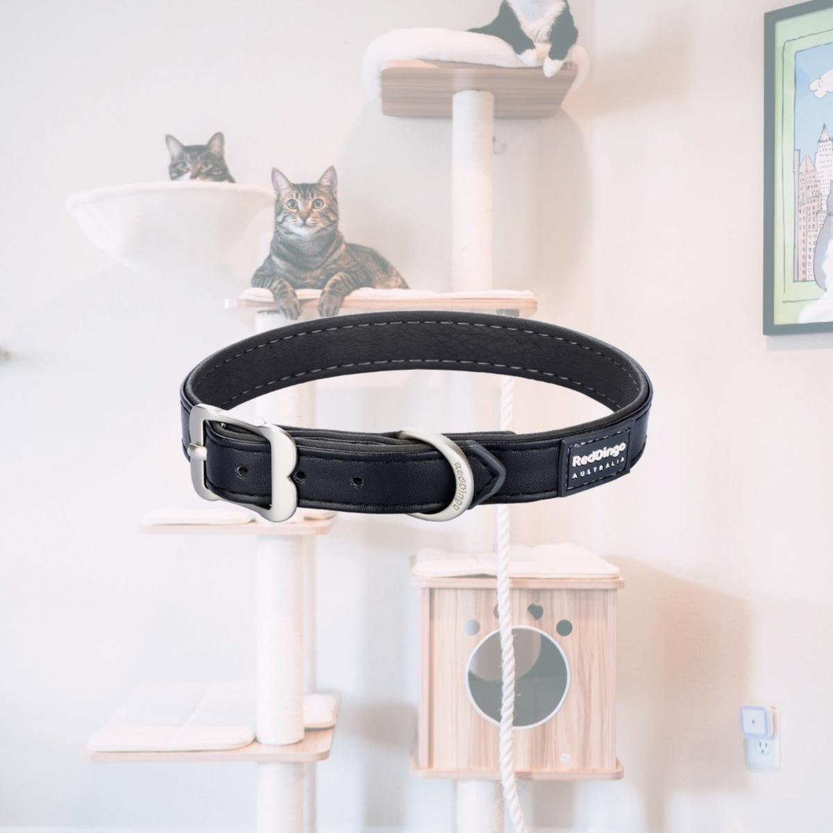 Picture of Red Dingo DC-EL-BB-50 Dog Collar Elegant Vegan Leather Black - Medium/Large