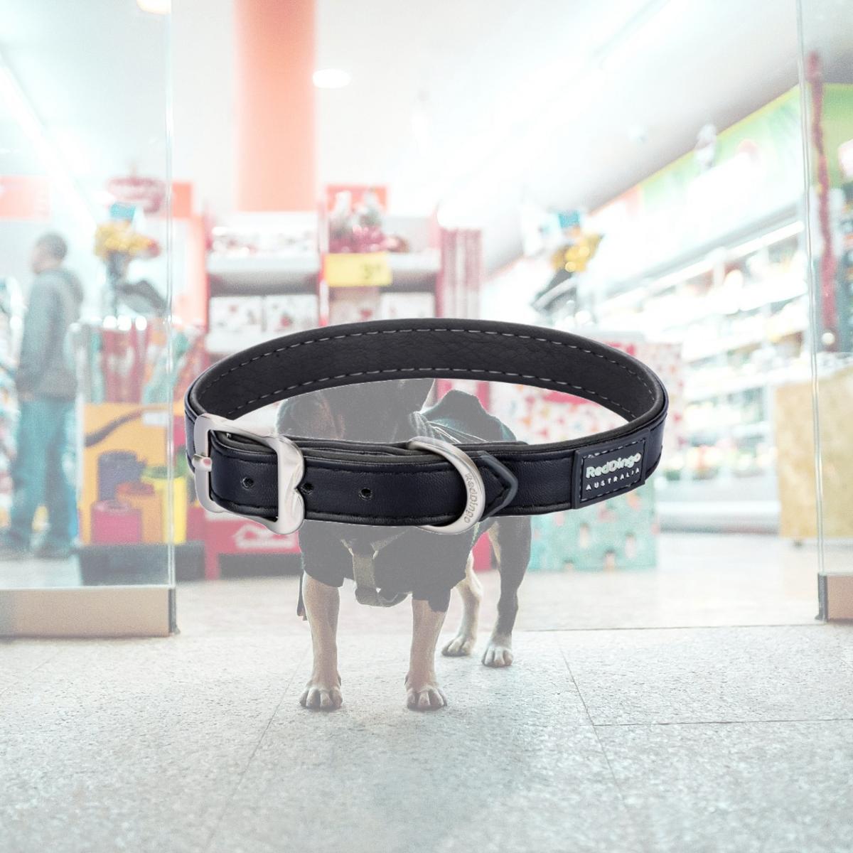 Picture of Red Dingo DC-EL-BB-36 Dog Collar Elegant Vegan Leather Black - Small/Medium
