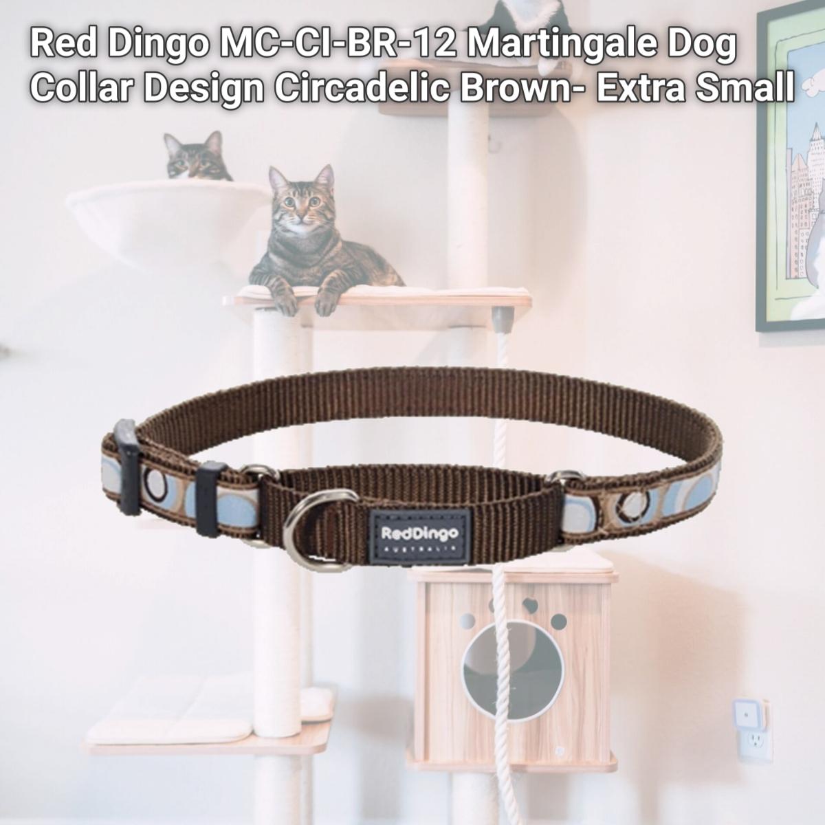 Picture of Red Dingo MC-CI-BR-12 Martingale Dog Collar Design Circadelic Brown- Extra Small