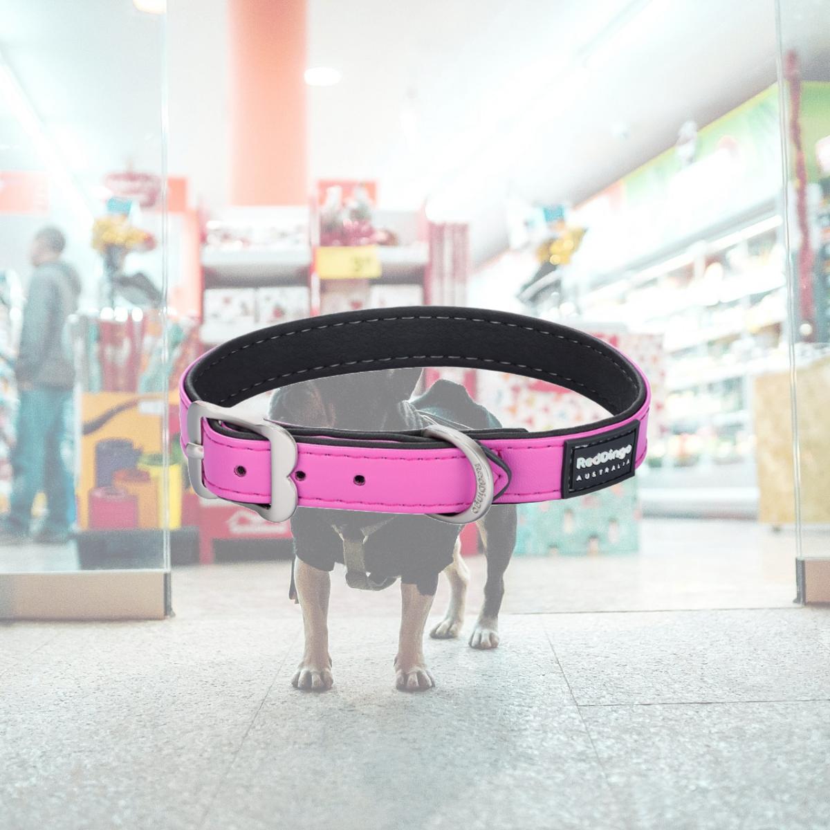 Picture of Red Dingo DC-EL-HP-50 Dog Collar Elegant Vegan Leather Hot Pink - Medium/Large